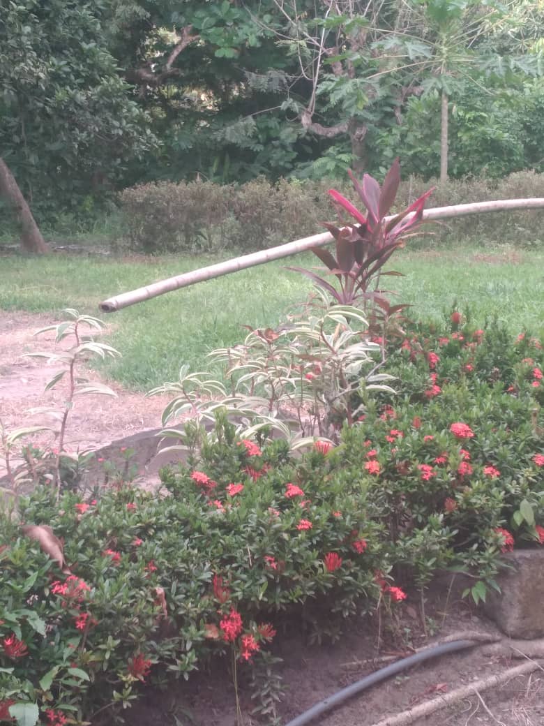 bdca15cd-3f24-4174-b431-21c87e7e9e05